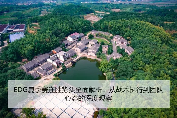 EDG夏季赛连胜势头全面解析：从战术执行到团队心态的深度观察