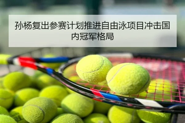 孙杨复出参赛计划推进自由泳项目冲击国内冠军格局